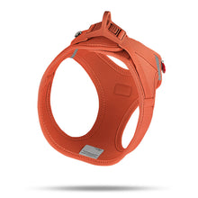 Lade das Bild in den Galerie-Viewer, Vest Geschirr curli Clasp Air-Mesh Sun Orange