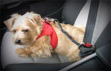 Lade das Bild in den Galerie-Viewer, Auto Sicherheitsgurt Car Safty Belt 60cm large