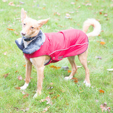 Lade das Bild in den Galerie-Viewer, Wintermantel Amundsen rot