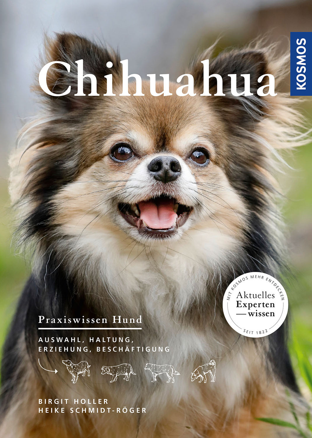 Chihuahua/Holler Schmidt-Röger