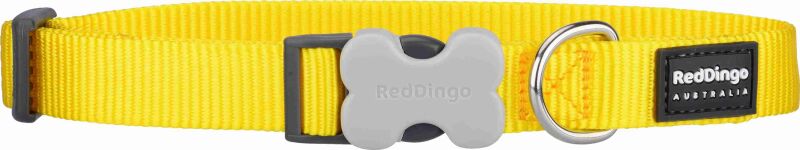 Red Dingo Halsband XS, 20-32cm, gelb