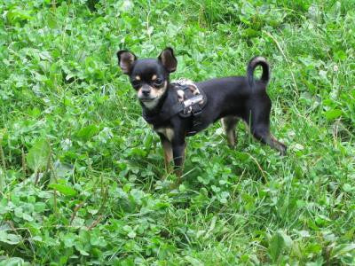 Beany aus Karlsruhe