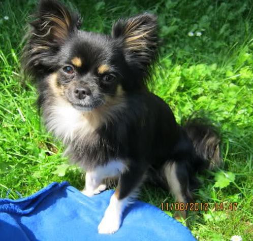 Spunky aus Duisburg