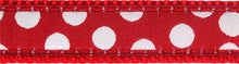 Lade das Bild in den Galerie-Viewer, Red Dingo Halsband XS, 20-32cm, White Spots on Red
