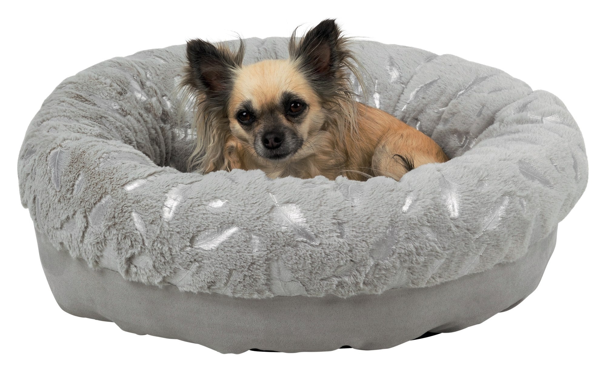 Bett Feder  50 cm grau/silber  Chihuahua Shop